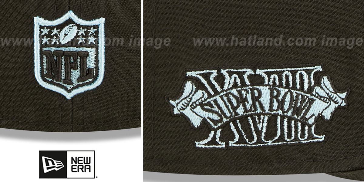 Raiders SB XVII 'CLOUD-UNDER' Black Fitted Hat by New Era