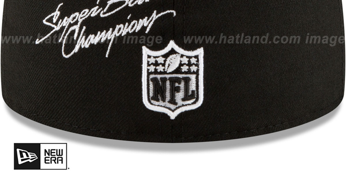 Steelers 'SUPER BOWL CHAMPS ELEMENTS' Black Fitted Hat by New Era